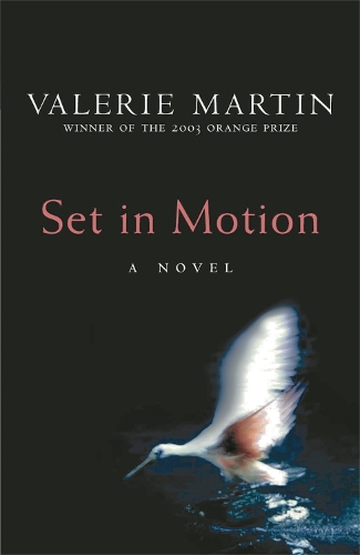 Паперова книга «Set In Motion», автор Валері Мартін - фото №1