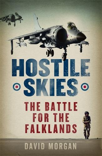 Бумажная книга «Hostile Skies», автор Дэвид Морган - фото №1
