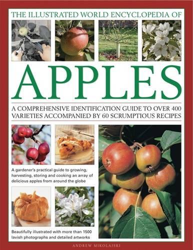 Бумажная книга «Illustrated World Encyclopedia of Apples», автор Эндрю Миколайски - фото №1