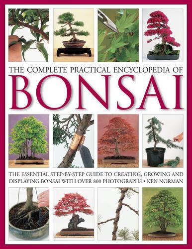 Бумажная книга «Complete Practical Encyclopedia of Bonsai», автор Кен Норман - фото №1
