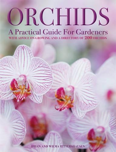 Бумажная книга «Orchids», автор Эндрю Миколайски - фото №1