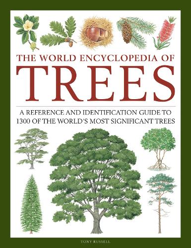 Паперова книга «Trees, The World Encyclopedia of: A reference and identification guide to 1300 of the world's most significant trees», авторів Кетрін Катлер, Мартін Уолтерс - фото №1