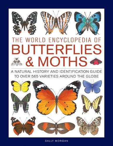 [object Object] «Butterflies & Moths, The World Encyclopedia of: A natural history and identification guide to over 565 varieties around the globe», автор Саллі Морган - фото №1