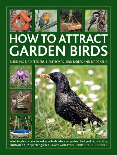 Бумажная книга «How to Attract Garden Birds: What to plant; Bird feeders, bird tables, birdbaths; Building nest boxes: Backyard birdwatching, with illustrated directories of common garden birds» - фото №1