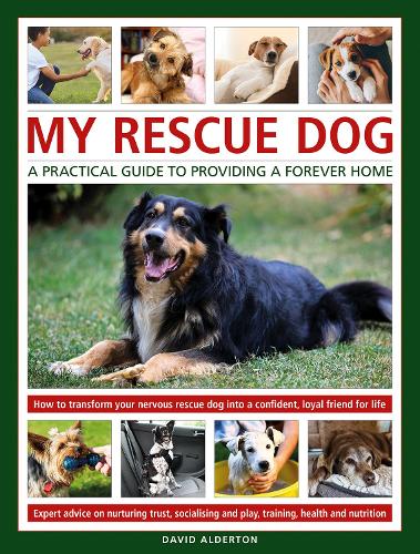 [object Object] «My Rescue Dog: A practical guide to providing a forever home: How to understand and transform your nervous rescue dog into a happy, confident, loyal friend for life; Expert advice on nurturing trust, obedience training, socialising, health and nutrition, », автор Девід Олдертон - фото №1