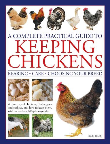 [object Object] «Keeping Chickens, Complete Practical Guide to: Rearing; Care; Choosing Your Breed: A directory of chickens, ducks, geese and turkeys, and how to keep them, with over 700 photographs», автор Фред Хамс - фото №1