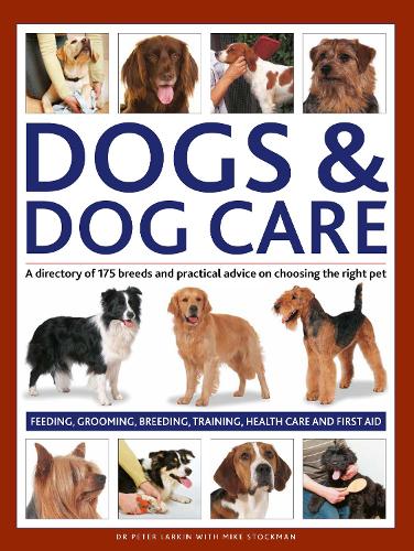 Paper book «Dogs & Dog Care: A directory of 175 breeds and practical advice on choosing the right pet. Feeding, grooming, breeding, training, health care and first aid», authors Майк Стокман / Майк Стокман / , Питер Ларкин / Пітер Ларкін / - фото №1