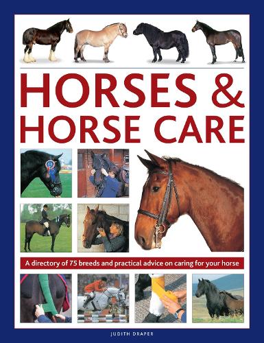 Бумажная книга «Horses & Horse Care: A directory of 75 breeds and practical advice on caring for your horse», автор Джудит Дрейпер - фото №1