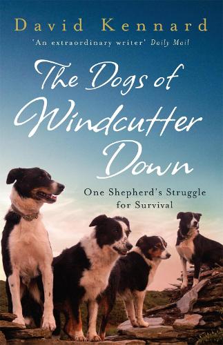 Паперова книга «The Dogs of Windcutter Down», автор Девід Кеннард - фото №1