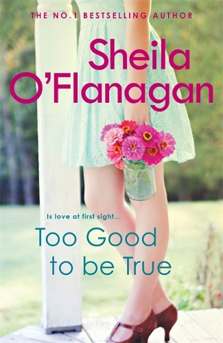 Бумажная книга «Too Good To Be True: A feel-good read of romance and adventure», автор Шейла О'Фланаган - фото №1
