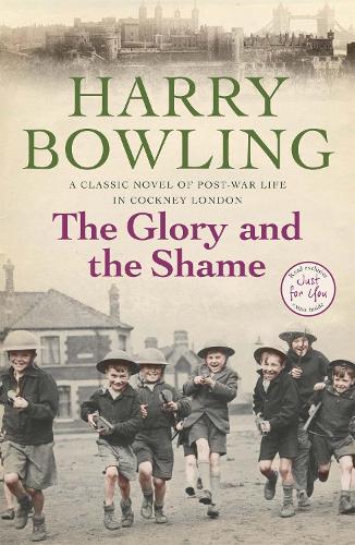 Бумажная книга «The Glory and the Shame: Some events can never be forgotten…», автор Гарри Боулинг - фото №1