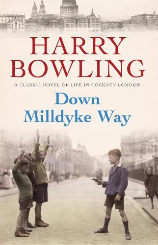 Паперова книга «Down Milldyke Way: A touching saga of heartbreak, grit and emotion», автор Гаррі Боулінг - фото №1