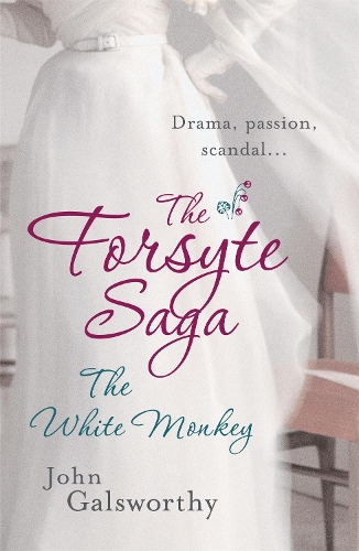 Паперова книга «The Forsyte Saga 4: The White Monkey», автор Джон Голсуорсі - фото №1