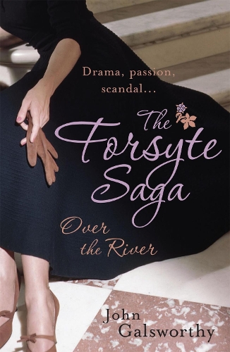 Паперова книга «The Forsyte Saga 9: Over the River», автор Джон Голсуорсі - фото №1