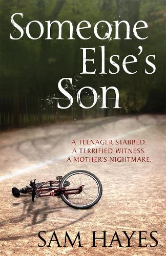 Бумажная книга «Someone Else's Son: A page-turning psychological thriller with a breathtaking twist», автор Саманта Хейс - фото №1
