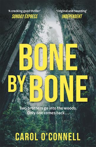 Бумажная книга «Bone by Bone: a gripping who-dunnit with a twist you don't see coming», автор Кэрол О'Коннелл - фото №1