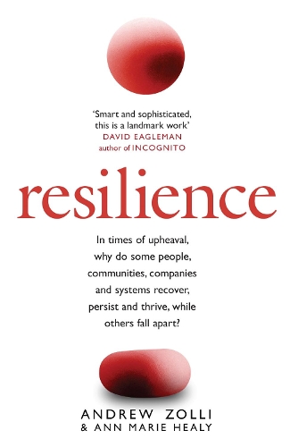 Паперова книга «Resilience: Why Things Bounce Back», авторів Ендрю Золлі, Енн Марі Хілі - фото №1