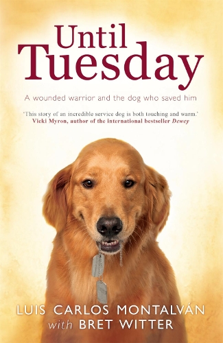 Бумажная книга «Until Tuesday», авторов Брет Уиттер, Луис Карлос Монтальван - фото №1
