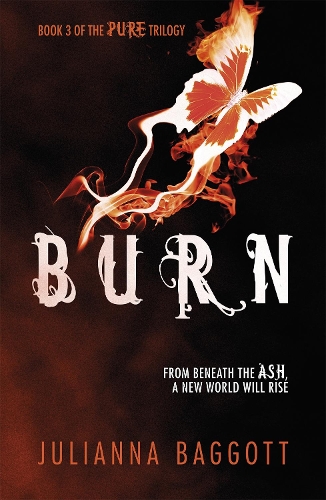 Паперова книга «Burn», автор Джуліана Багготт - фото №1