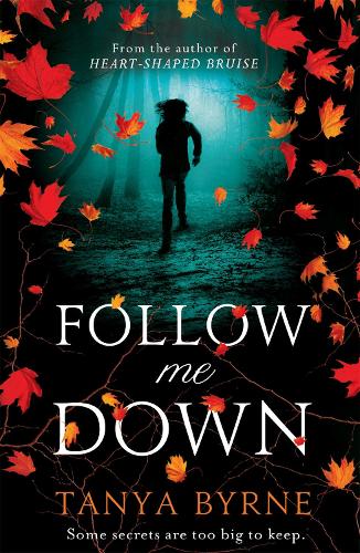 Бумажная книга «Follow Me Down», автор Таня Бирн - фото №1