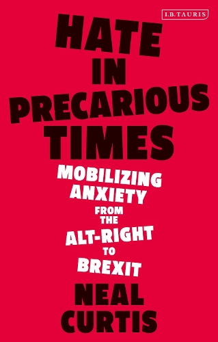 Бумажная книга «Hate in Precarious Times: Mobilizing Anxiety from the Alt-Right to Brexit», автор Нил Кертис - фото №1