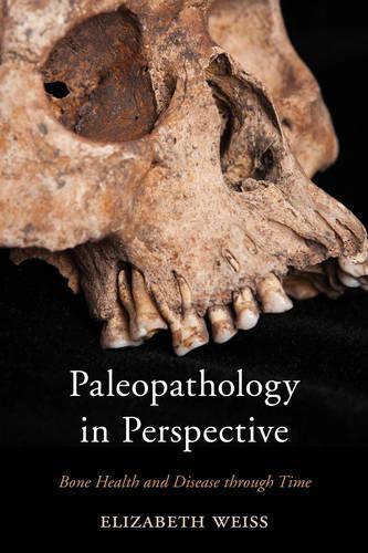 Паперова книга «Paleopathology in Perspective: Bone Health and Disease through Time», автор Елізабет Вайс - фото №1