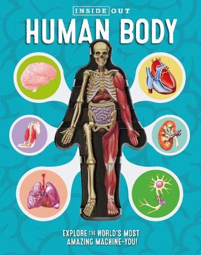 [object Object] «Inside Out Human Body: Explore the World's Most Amazing Machine-You!», автор Луанн Коломбо - фото №1