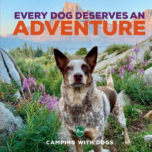 Паперова книга «Every Dog Deserves an Adventure», автор Л. Дж. Тракосас - фото №1