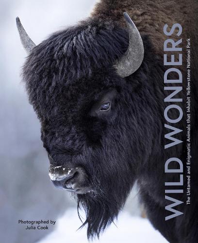 Бумажная книга «Wild Wonders: The Untamed and Enigmatic Animals that Inhabit Yellowstone National Park», автор Джулия Кук - фото №1