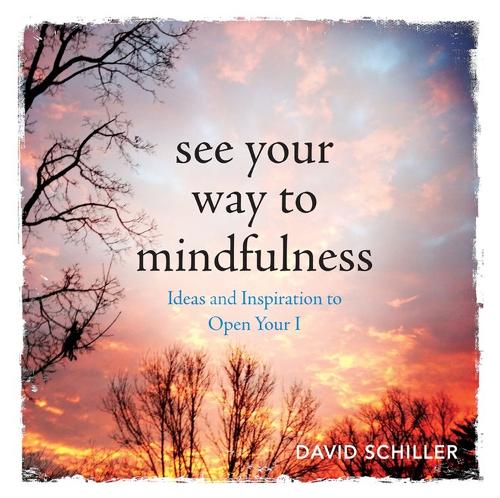 Бумажная книга «See Your Way to Mindfulness: Ideas and Inspiration to Open Your I», автор Дэвид Шиллер - фото №1