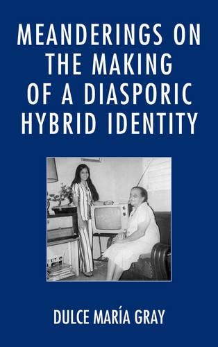 Бумажная книга «Meanderings on the Making of a Diasporic Hybrid Identity», автор Дульсе Мария Грей - фото №1