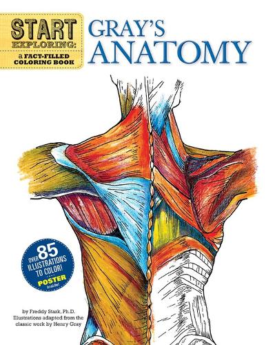 Бумажная книга «Start Exploring: Gray's Anatomy: A Fact-Filled Coloring Book», автор Фредди Старк - фото №1