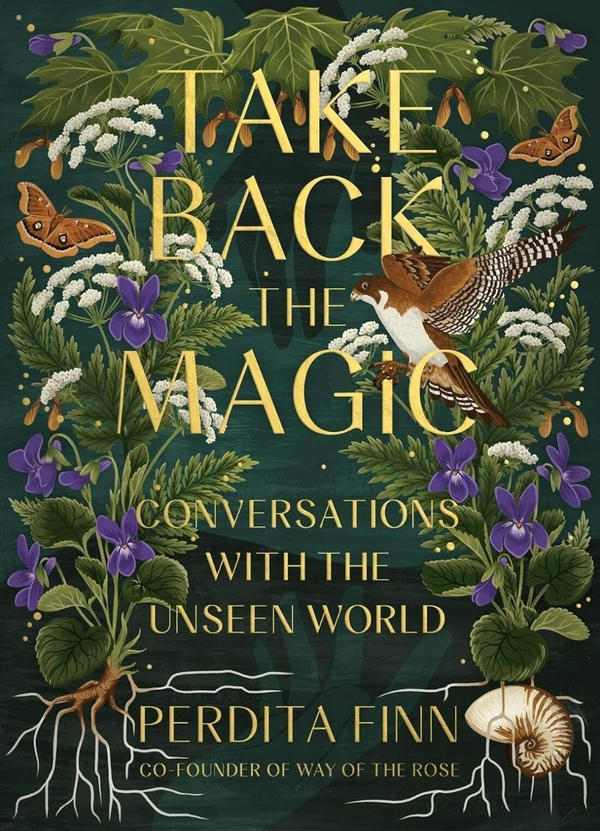 Бумажная книга «Take Back the Magic: Conversations with the Unseen World», автор Пердита Финн - фото №1