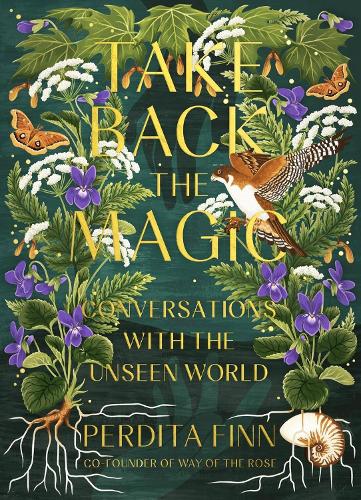 Паперова книга «Take Back the Magic: Conversations with the Unseen World», автор Пердіта Фінн - фото №1