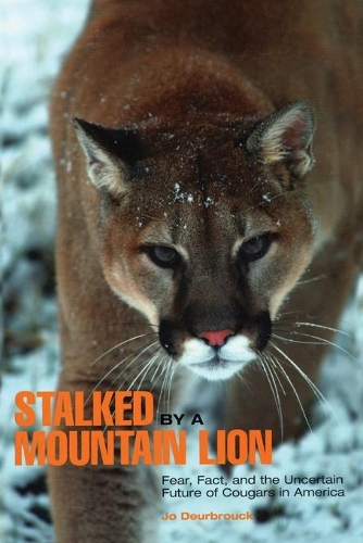 Бумажная книга «Stalked by a Mountain Lion: Fear, Fact, And The Uncertain Future Of Cougars In America», автор Джо Деурбрук - фото №1