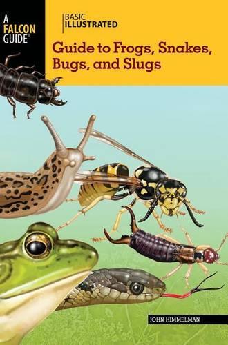Бумажная книга «Basic Illustrated Guide to Frogs, Snakes, Bugs, and Slugs», автор Джон Химмельман - фото №1