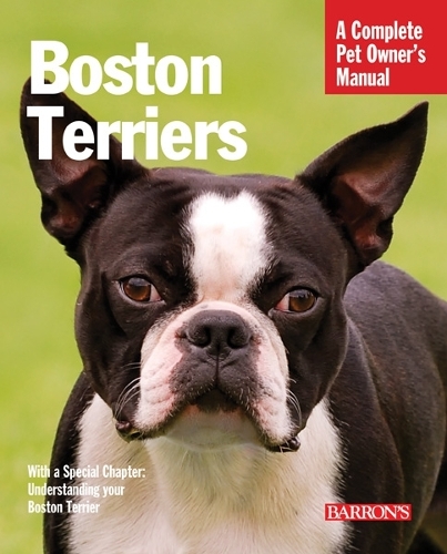 Паперова книга «Boston Terriers», автор Сюзан Буланда - фото №1