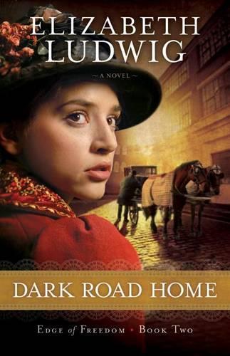 Бумажная книга «Dark Road Home», автор Э. Людвиг - фото №1