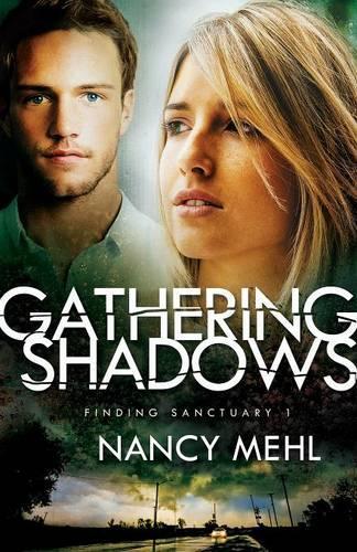 Паперова книга «Gathering Shadows», автор Ненсі Мехл - фото №1