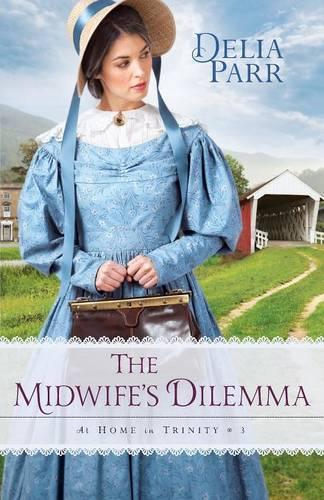 Бумажная книга «Midwife′s Dilemma, The», автор Д. Парр - фото №1