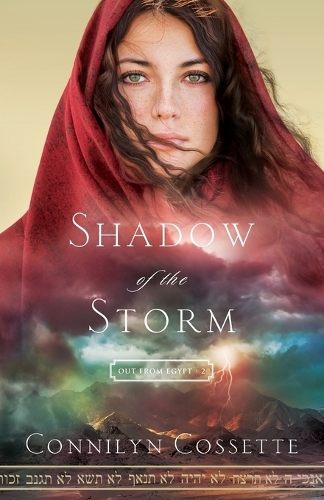 Бумажная книга «Shadow of the Storm», автор Коннилин Коссетт - фото №1