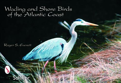 Бумажная книга «Wading & Shore Birds of the Atlantic Coast», автор Роджер С. Эверетт - фото №1
