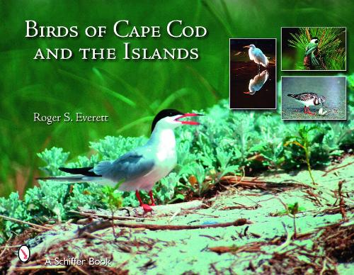 Бумажная книга «Birds of Cape Cod & The Islands», автор Роджер С. Эверетт - фото №1