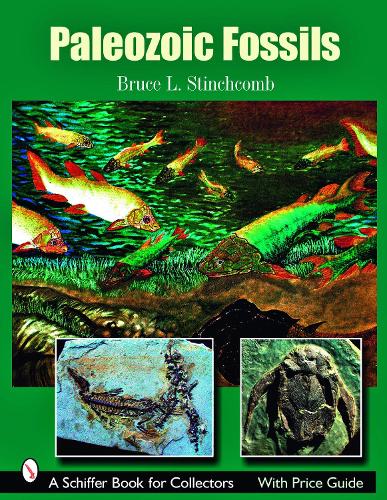 Бумажная книга «Paleozoic Fossils», автор Брюс Л. Стинчкомб - фото №1