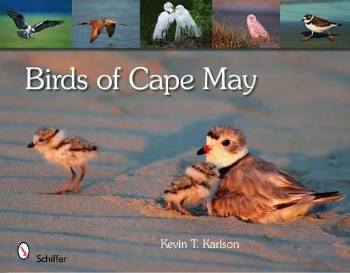 Бумажная книга «Birds of Cape May, New Jersey», автор Кевин Т. Карлсон - фото №1