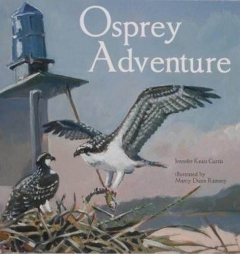 Бумажная книга «Osprey Adventure», автор Дженнифер Китс Кертис - фото №1