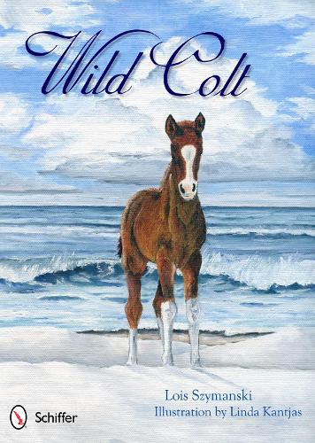 Паперова книга «Wild Colt», автор Лоїс Шиманські - фото №1