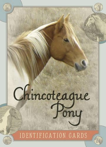 Паперова книга «Chincoteague Pony Identification Cards», автор Лоїс Шиманські - фото №1
