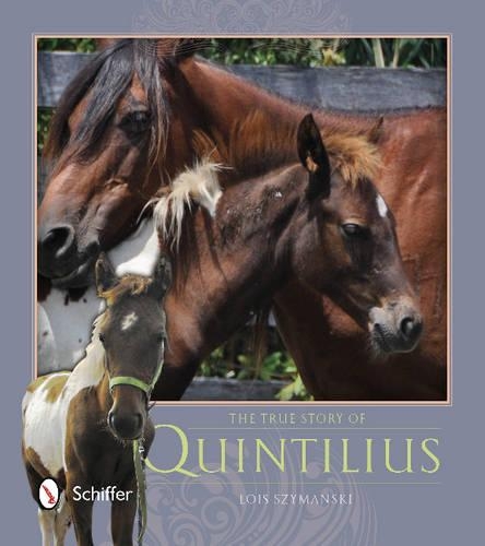 Бумажная книга «The True Story of Quintilius», автор Лоис Шимански - фото №1