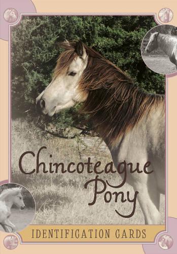 Бумажная книга «Chincoteague Pony Identification Cards: Set 2», автор Лоис Шимански - фото №1